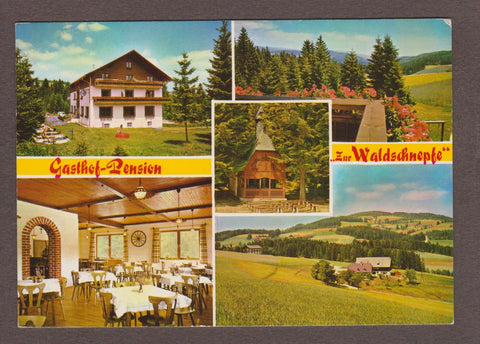 AK Strallegg. Gasthof Pension Zur Waldschnepfe. Inh. Franz und Gertrude Bauernhofer. Pacher 64.