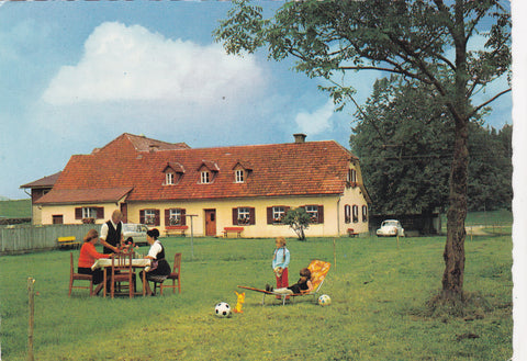 AK Nechnitz a.d. Teichalpe bei Fladnitz. Frankenhof.