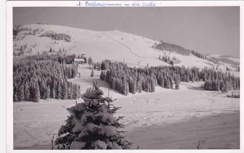 AK Teichalpe. Alpengasthof Pierer.