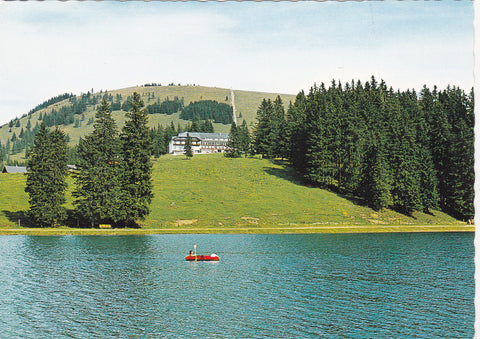 AK Teichalm. Hotel - Pension Pierer.