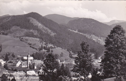 AK Rettenegg. Blick gegen Feistritzwald.