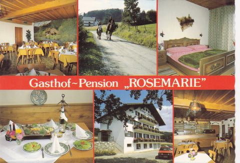 AK Anger, Floing 48. Gasthof Pension Rosemarie. Forellenhof Holzerbauer.