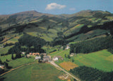 AK Heilbrunn. Brandlucken. Gasthof Bauernhofer. Blick gegen Plannkogel.