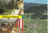 AK Fladnitz a.d. Teichalm. Waldpension Reisinger.