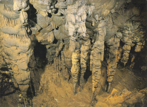 AK Grasslhöhle, Dürntal bei Weiz. Naas. Stalagmitengruppe.