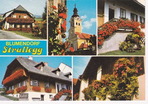 AK Blumendorf Strallegg. Urlaub am Bauernhof. F. R. Doppelhäfer, Strallegg 15. K. u. A. Piller Strallegg 16.