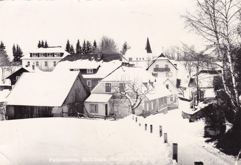 AK Falkenstein. (Ratten/Fischbach)