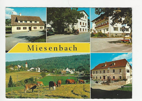 AK Miesenbach.