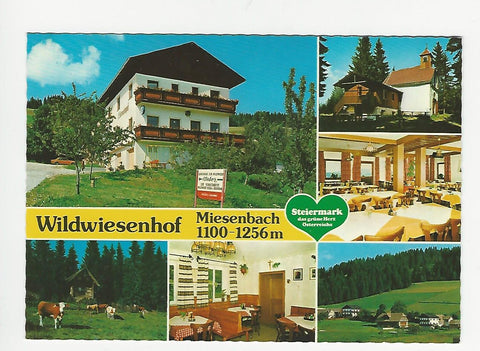 AK Miesenbach. Gasthof Pension Wildwiesenhof. Karl und Maria Weber.