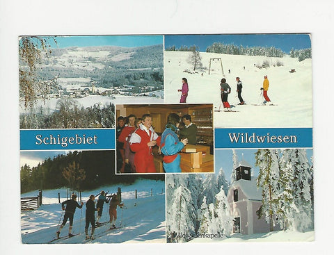 AK Miesenbach. Schigebiet Wildwiesen. Wildwiesengasthof.