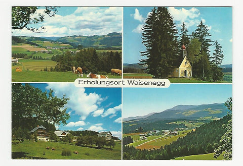 AK Erholungsort Waisenegg.