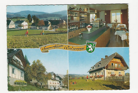 AK Sommerfrische Waisenegg.
