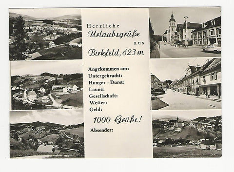 AK Herzliche Urlaubsgrüße aus Birkfeld.