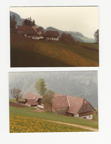 2 Fotos Birkfeld. (Bauernhof ?) Mai 1982.
