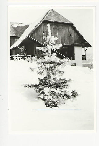 Foto Birkfeld. (Bauernhof ?)