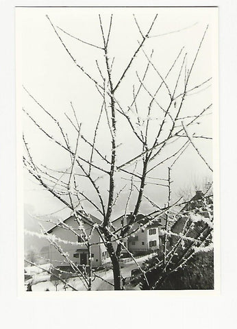 Foto Birkfeld. (Januar 1978)
