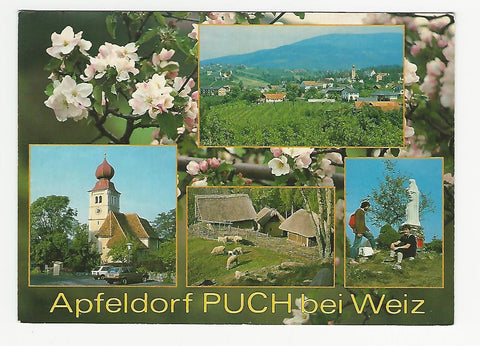 AK Apfeldorf Puch bei Weiz. (1989)