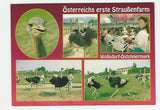 AK Wollsdorf. Österreichs erste Straußenfarm.
