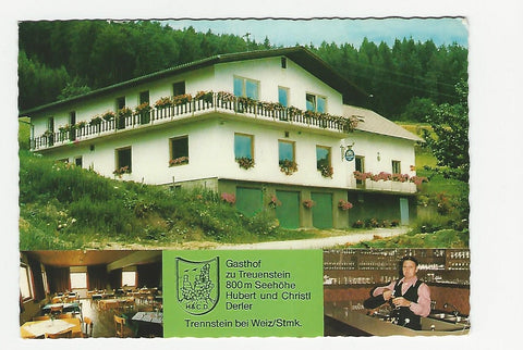 AK Gasthof zu Treuenstein. Trennstein 28. Thannhausen.