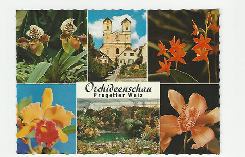 AK Orchideenschau Pregetter Weiz.