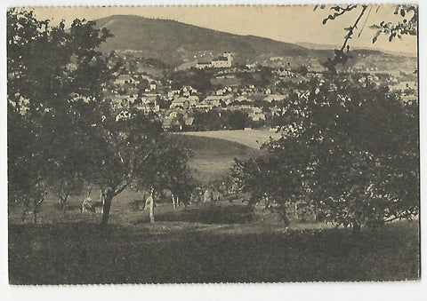 AK Weiz.