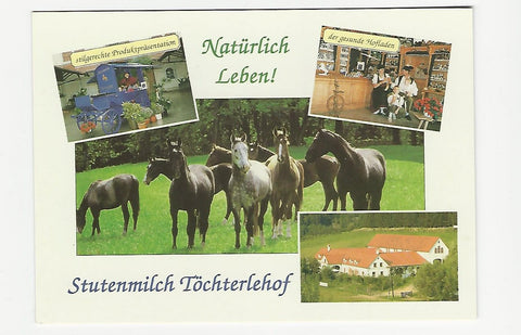 AK Oberfeistritz 190. Töchterlehof Familie Derler. Gesundheitsfarm und Stutenmilchgestüt.