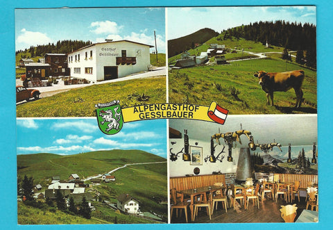 AK Sommeralm. Alpengasthof Friedrich Gesslbauer. Heilbrunn.