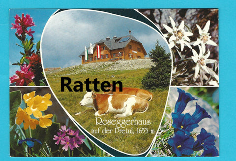 AK Roseggerhaus auf der Pretul. Ratten.