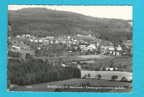 AK Strallegg.
