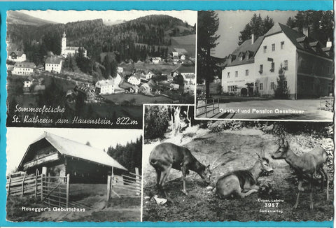 AK St. Kathrein am Hauenstein.