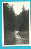AK Partie aus der Raabklamm. (1930)