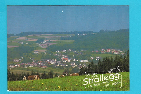 AK Strallegg.