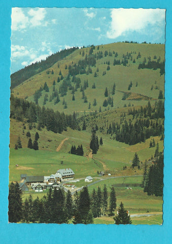 AK Alpengasthof Vorauer Zum Teichwirt. Teichalpe. Fladnitz.
