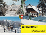 AK Weinebene. Gasthof zur Göslerhütte. Ludwig Steinweiß. Wolfsberg Reding 195.