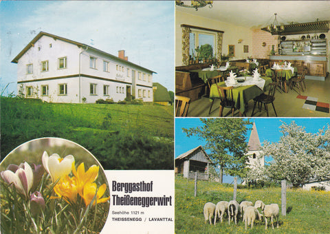 AK Theissenegg. Berggasthof Theißeneggerwirt. Inh. Walter Dohr. Liegewiese. Theißenegg 2. Twimberg.