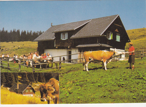 AK Eiblhütte. St. Stefan im Lavanttal.
