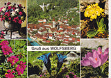 AK Gruß aus Wolfsberg.