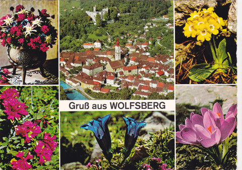 AK Gruß aus Wolfsberg.