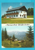 AK St. Gertraud, Weinebene. Alpengasthof Pfeifferstocker.