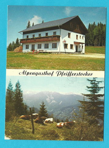 AK Alpengasthof Pfeifferstocker. St. Gertraud Weinebene.