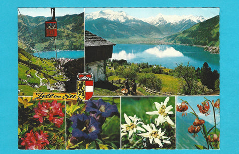 AK Zell am See.