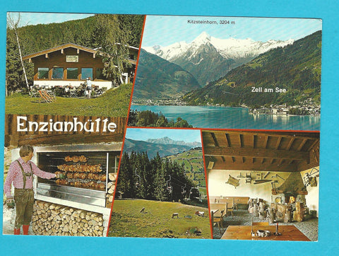 AK Thumersbach am Zeller See. Enzianhütte.