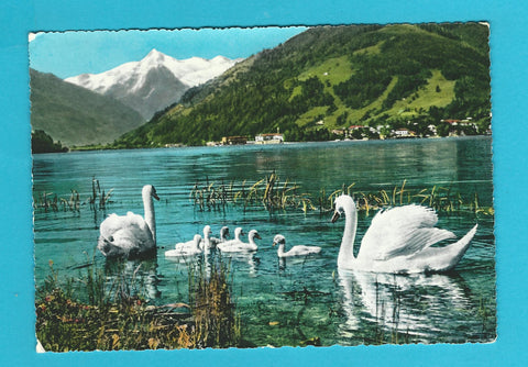 AK Zell am See.