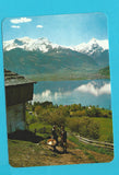AK Zell am See.