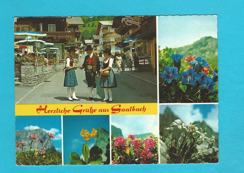 AK Herzliche Grüße aus Saalbach.