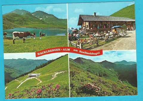 AK Almwirtschaft Rasthütte Hacklberger-Alm. Besitzer: Familie Buchner. Saalbach-Hinterglemm.