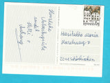 AK Saalbach-Hinterglemm.