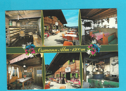AK Saalbach-Hinterglemm. Jausenstation Ossmann-Alm.