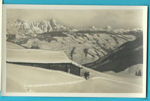AK Saalbach. Leoganger Steinberge u. Birnhorn.
