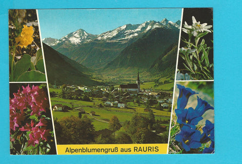 AK Alpenblumengruß aus Rauris.